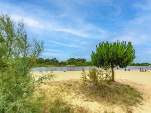 Maisons de vacances Holiday Home in La Teste with Pool & BBQ, cleaning included : photos des chambres