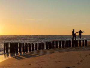 Maisons de vacances Holiday Home in La Teste with Pool & BBQ, cleaning included : photos des chambres