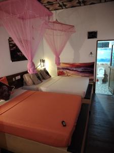 The coconut villa safari hostel