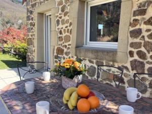 Gîte spacieux et moderne avec terrasse au cœur de la nature - FR-1-496-363
