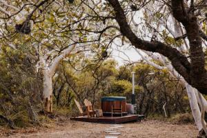 Tiny Wombat and Wallaby