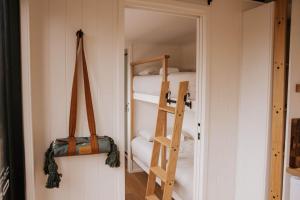 Tiny Wombat and Wallaby