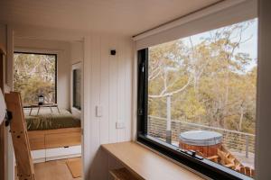 Tiny Wombat and Wallaby