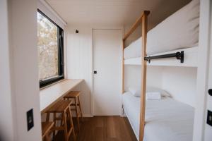 Tiny Wombat and Wallaby