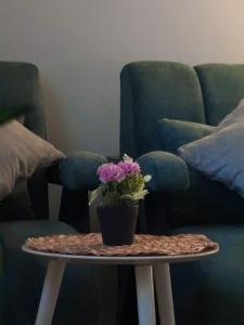 استديو تصميم متميز و جميل