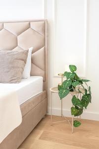 Central Belgrade Apartments BW