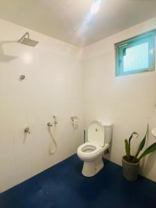 Chill Hostel Madiha