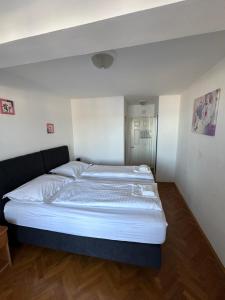 Apartment and rooms SIDRO