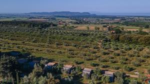 Agriturismo Glamping LOlivo Country Holidays