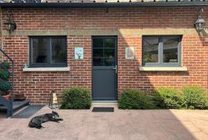Appartements STUDIO VOYAGE COLONIAL CLIMATISE chic : photos des chambres