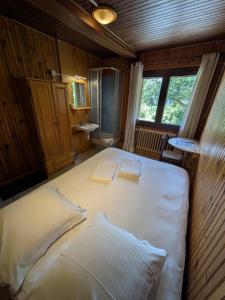 Hotels Auberge de Pra-Loup : photos des chambres