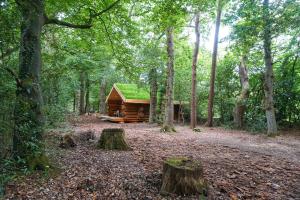 Secluded Hand Crafted Log Cabin