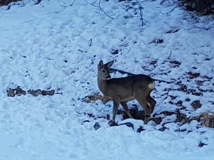 Appartements Repere de Vacances pour Vous : photos des chambres