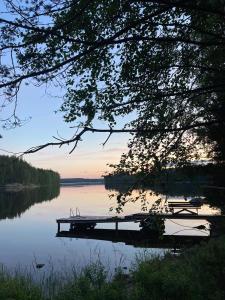 Metsäsydän mökki 1 Minttumaari