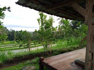 Homestay Ijen Lemon House
