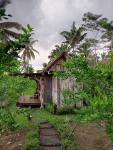 Homestay Ijen Lemon House