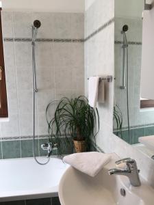 Villa Nona, Flat 3 with swimming pool 