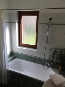 Villa Nona, Flat 3 with swimming pool 
