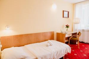 Single Room room in Geovita Krynica-Zdroj