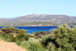 Trilocale con giardino privato e posto auto img2