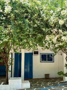 Chalaroste Place by SMS Hospitality