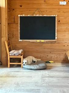 Maisons de vacances Chalet Familial en Bois a 150 m de la Mer : Maison 3 Chambres