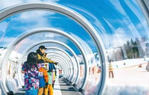 47 - Snow Village Cozy Lodge Yuzawa - Ubytování bez kategorie ve městě Juzawa