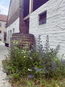 Penzion jaký svět neviděl