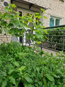 Apartamentai Grigiškes