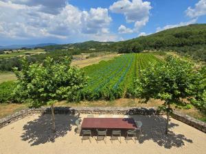 Maisons de vacances Mas Cerisiers : photos des chambres