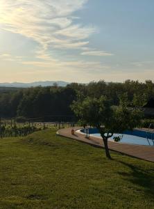 Old Horvat wine estate