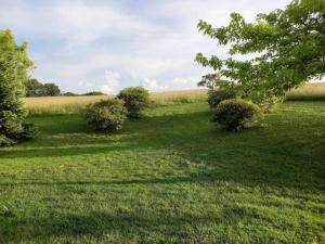Maisons de vacances Snug cottage in Saint-Eutrope-De-Born with pool : photos des chambres