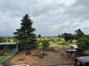 Maisons de vacances Maison calme - confort - Billy & Compagnie : photos des chambres