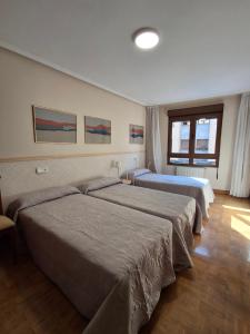 Arriondas Toyos Iroko