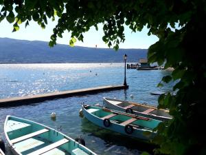 Appartements Lumineux 3 pieces a 350m du lac - Annecy quartier Imperial Plage Albigny : photos des chambres