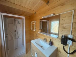 Appartements Chalet Chene-Pin : photos des chambres