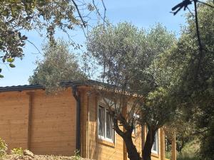 Appartements Chalet Chene-Pin : photos des chambres