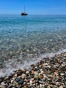 Il Glicine Apartment a 2 min dalla Spiaggia