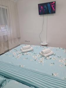 Apartament modern Cristina&Jessica