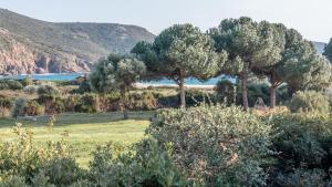 Appartements U Casinu : photos des chambres