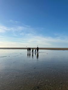 Appartements Appartement familial - 2 toits terrasses - vue mer - hyper centre d-Houlgate : photos des chambres