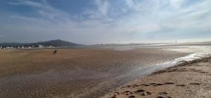 Appartements Appartement familial - 2 toits terrasses - vue mer - hyper centre d-Houlgate : photos des chambres