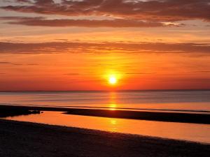 Appartements Appartement familial - 2 toits terrasses - vue mer - hyper centre d-Houlgate : photos des chambres