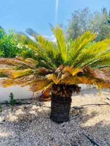 Jávea Villa entière piscine et cuisine dété à pinosol