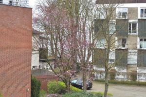 Haus Windrose Ferienwohnung Nr 16