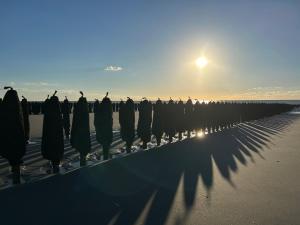 Appartements Appt lumineux - 2 chambres - Mer et commerces : photos des chambres