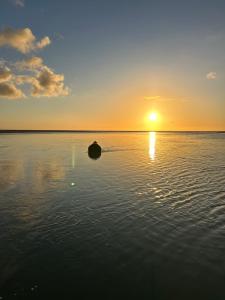 Appartements Appt lumineux - 2 chambres - Mer et commerces : photos des chambres