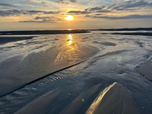 Appartements Appt lumineux - 2 chambres - Mer et commerces : Appartement 2 Chambres