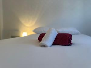 Appartements Renovated apartment - 3 bedrooms - parking - balcony : photos des chambres