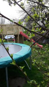 Gästehaus Nielson, Terrassenwohnung Sommerwind mit Garten